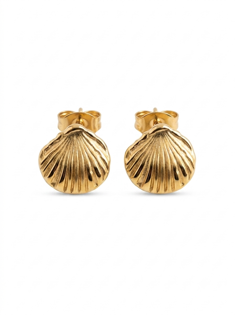 Calico Scallop Shell Earrings