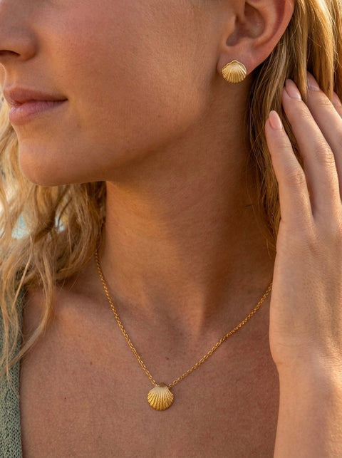Calico Scallop Shell Earrings