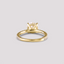 Evelyn Solitaire Engagement Ring
