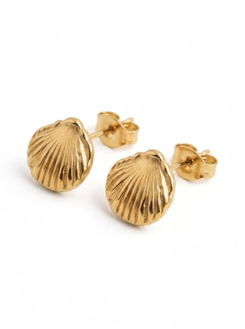 Calico Scallop Shell Earrings