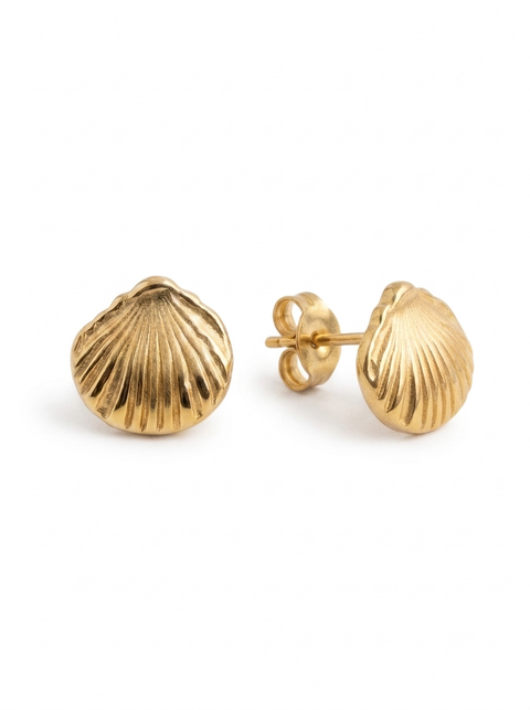 Calico Scallop Shell Earrings